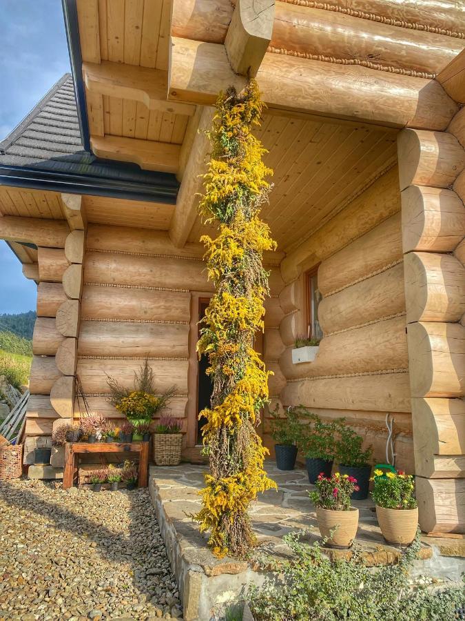 Dziejba Lesna Apartamenty &Spa - Piekne I Nowe Apartamenty I Domek, Sauna I Jacuzzi - W Cenie I Na Wylacznosc, 1 Km Od Stoku Jaworki Exterior photo